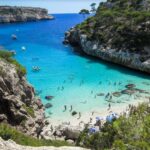 Reiseziel Mallorca - unter den Palmen der Balearen